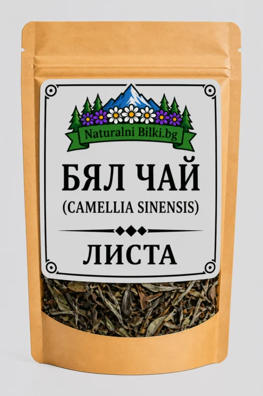 Бял чай – листа (Camellia sinensis)