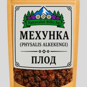 Мехунка – плод (Physalis alkekengi)