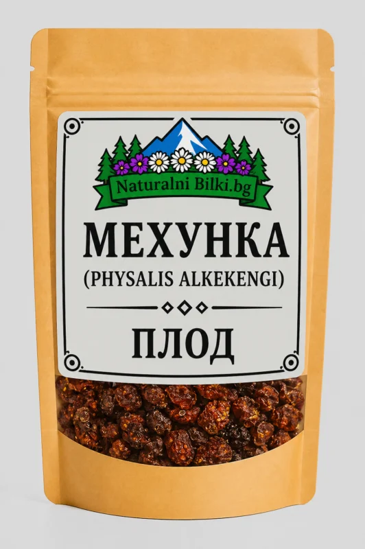 Мехунка – плод (Physalis alkekengi)