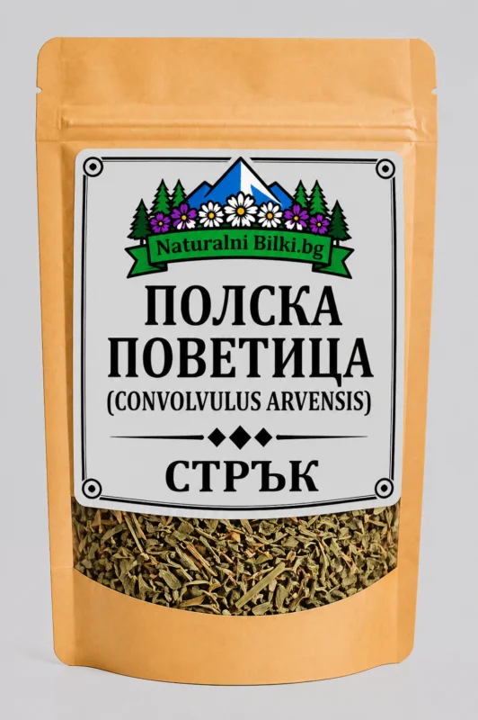 Полска поветица – стрък, рязан (Convolvulus arvensis)