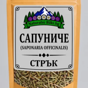 Сапуниче – стрък, рязан (Saponaria officinalis)