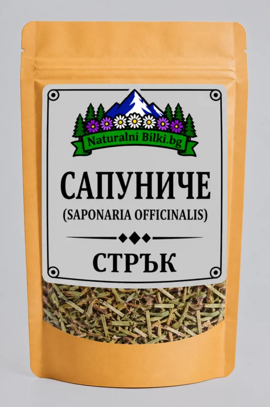 Сапуниче – стрък, рязан (Saponaria officinalis)