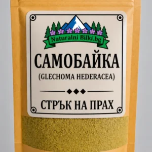 Самобайка (бръшлянка) – стрък, на прах (Glechoma hederacea)