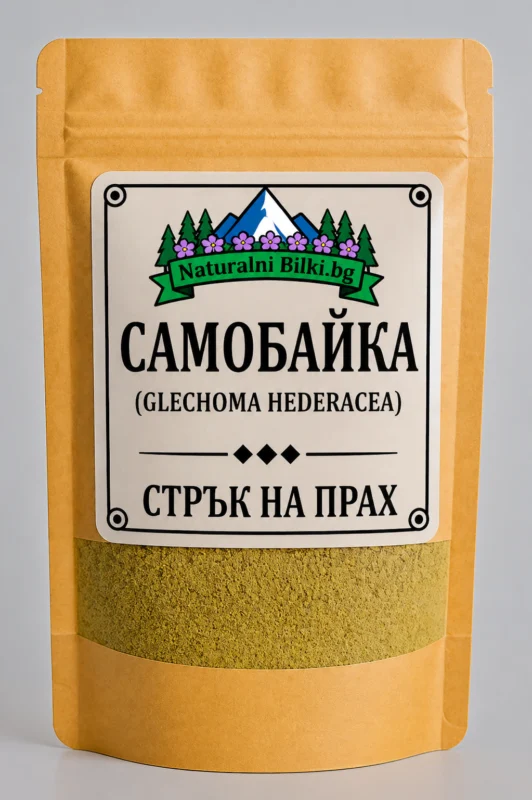 Самобайка (бръшлянка) – стрък, на прах (Glechoma hederacea)
