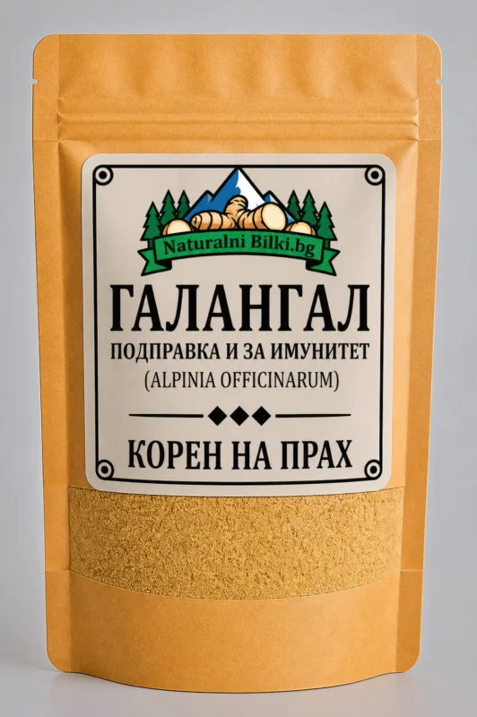 Галанга – корен, на прах (Alpinia officinarum)