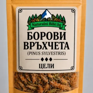 Борови връхчета – стрък, рязан (Pinus sylvestris)