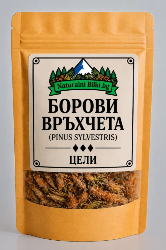 Борови връхчета – стрък, рязан (Pinus sylvestris)