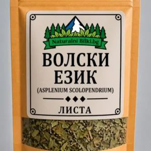 Волски език – листа, рязан (Asplenium scolopendrium)