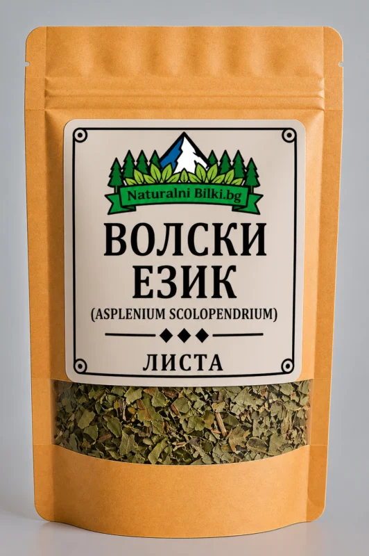 Волски език – листа, рязан (Asplenium scolopendrium)