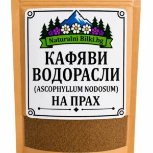 Кафяви водорасли – на прах (Ascophyllum nodosum)