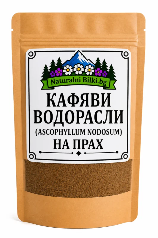 Кафяви водорасли – на прах (Ascophyllum nodosum)