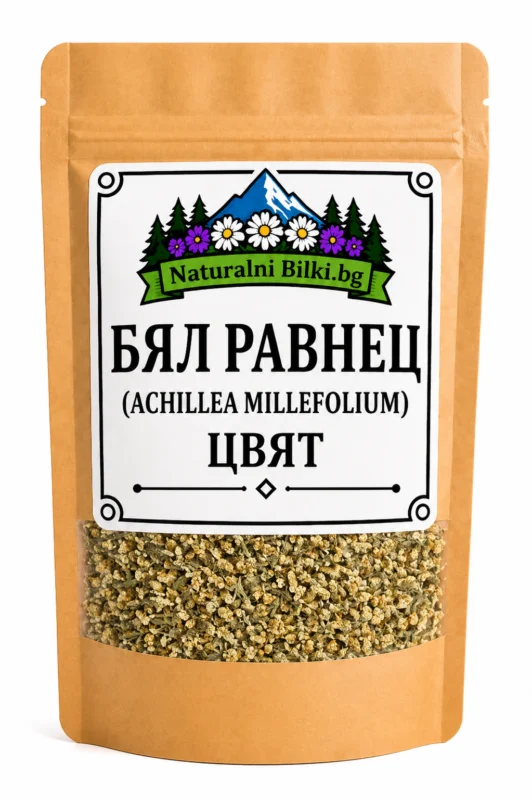 Бял равнец стрък с цвят, рязан (Achillea millefolium)