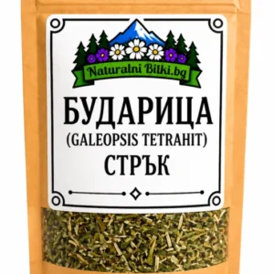 Бударица – стрък, рязан (Galeopsis tetrahit)