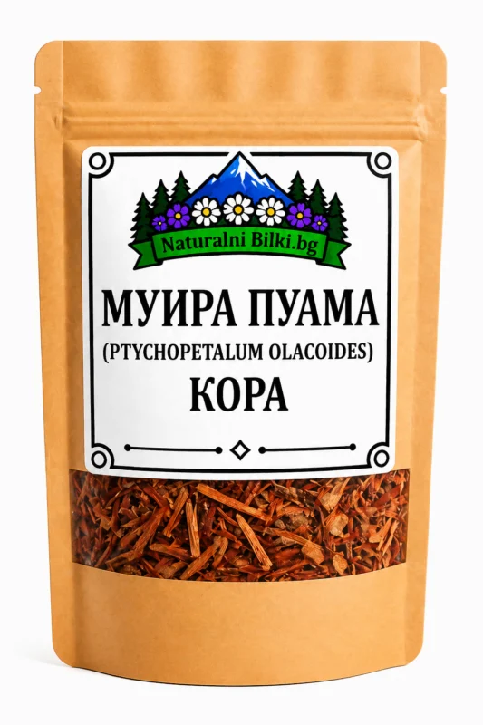 Муира пуама – кора, рязан (Ptychopetalum olacoides)