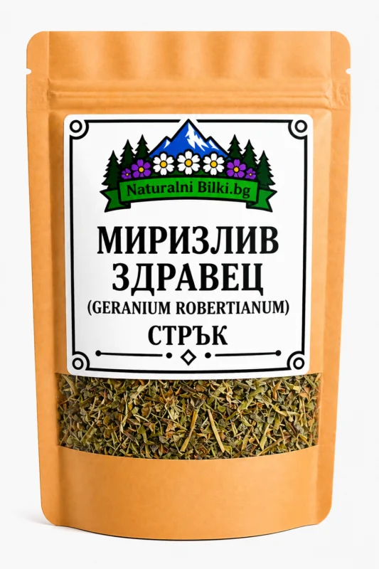 Миризлив здравец – стрък, рязан (Geranium robertianum)