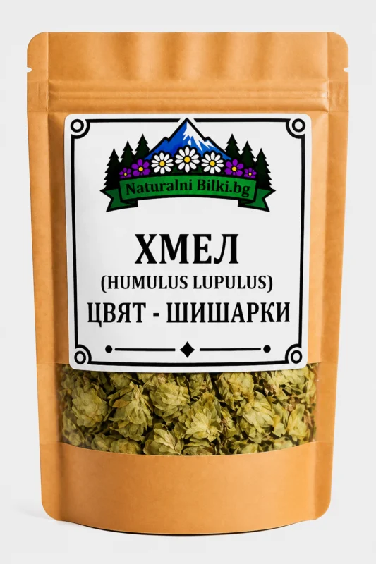 Хмел – шишарки (цвят) (Humulus lupulus)