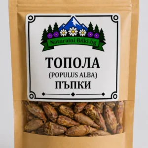 Тополови пъпки (Populus alba)