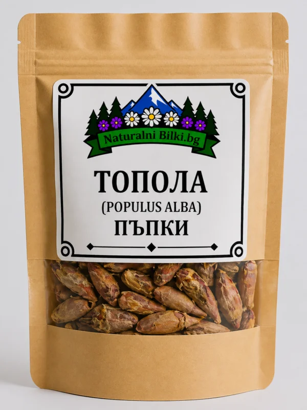 Тополови пъпки (Populus alba)