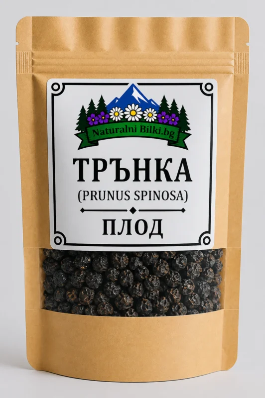 Трънка – плод (Prunus spinosa)