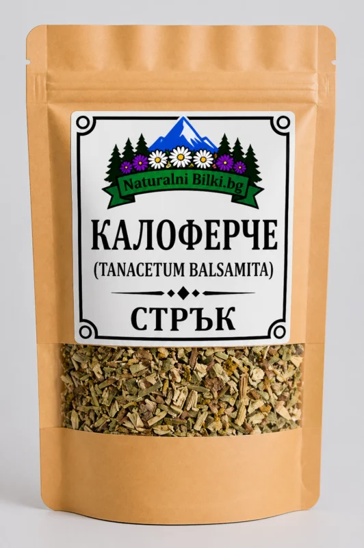 Калоферче – стрък, рязан (Tanacetum balsamita)