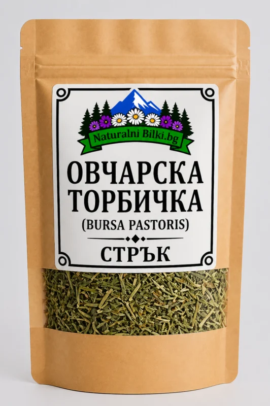 Овчарска торбичка – стрък, рязан (Capsella bursa-pastoris)
