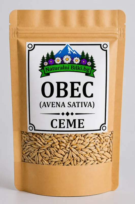 Овес – семена (Avena sativa)