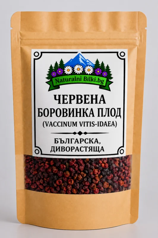 Червена боровинка (брусница) – плод (Vaccinium vitis-idaea)