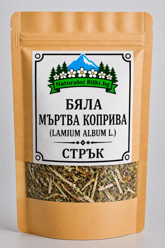 Бяла мъртва коприва – стрък, рязан (Lamium album)