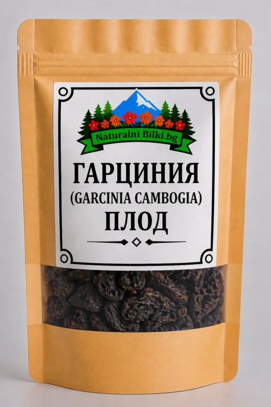 Гарциния камбоджа – плод, рязан (Garcinia gummi-gutta)