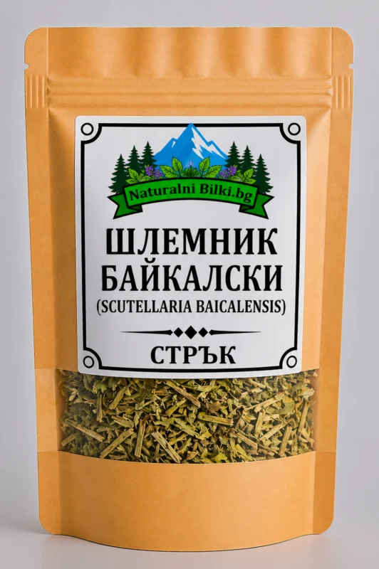 Байкалски шлемник – стрък, рязан (Scutellaria baicalensis)