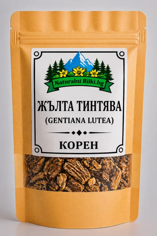 Жълта тинтява – корен, рязан (Gentiana lutea)