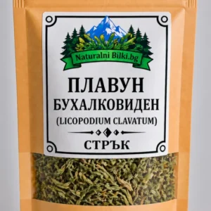 Плавун бухалковиден – стрък, рязан (Lycopodium clavatum)