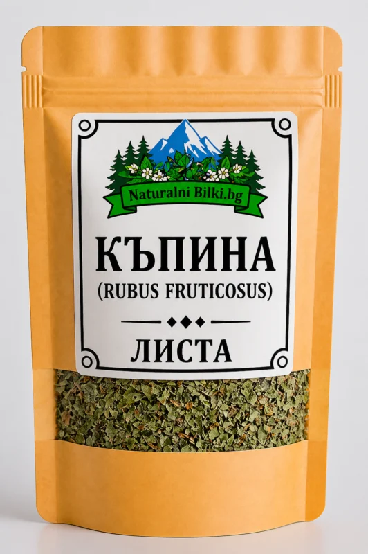 Къпина – листа, рязан (Rubus fruticosus)