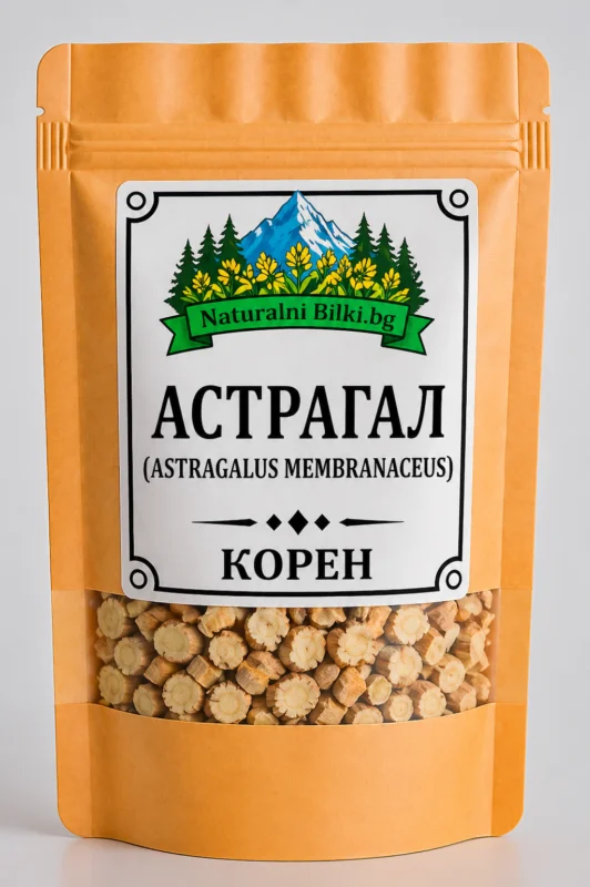 Астрагал – корен, рязан (Astragalus membranaceus)