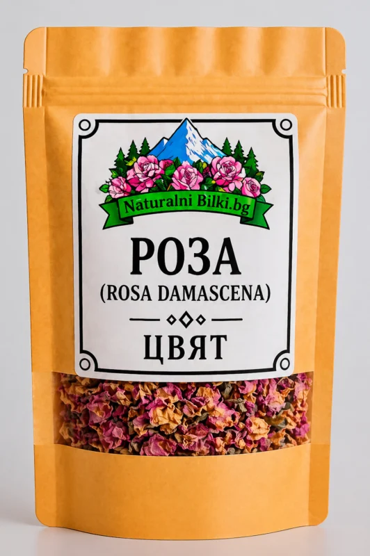 Маслодайна роза – цвят (Rosa damascena)