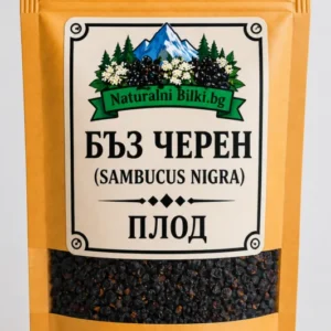 Черен бъз – плод, рязан (Sambucus nigra)