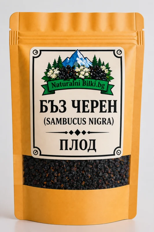Черен бъз – плод, рязан (Sambucus nigra)