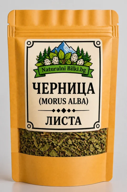 Бяла черница – листа, рязан (Morus alba)