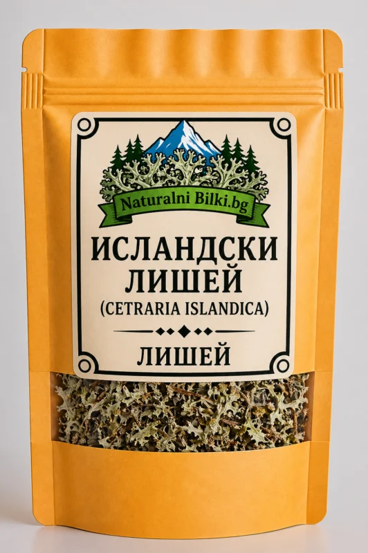 Исландски лишей – рязан (Cetraria islandica)