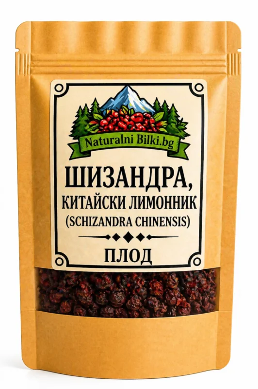 Шизандра – плод (Schisandra chinensis)