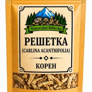 Решетка, карлина – корен, рязан (Carlina acaulis)