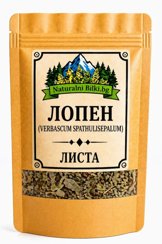 Лопен – листа, рязан (Verbascum thapsus)