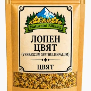 Лопен – цвят (Verbascum thapsus)