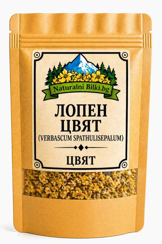 Лопен – цвят (Verbascum thapsus)