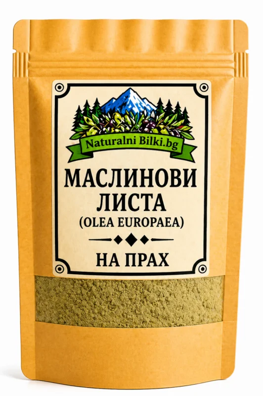 Маслина – листа, на прах (Olea europaea)