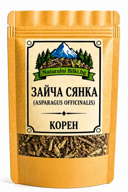 Зайча сянка (аспержа) – корен, рязан (Asparagus officinalis)