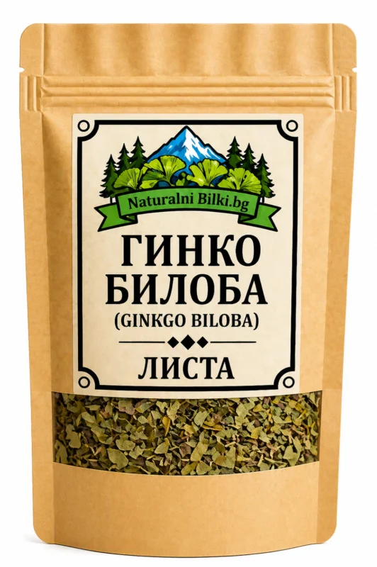 Гинко билоба – листа, рязан (Ginkgo biloba)
