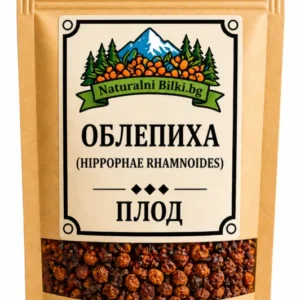 Облепиха – плод (Hippophae rhamnoides)