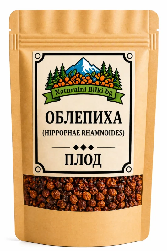 Облепиха – плод (Hippophae rhamnoides)