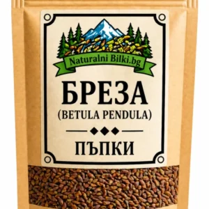 Брезови пъпки (Betula pendula)